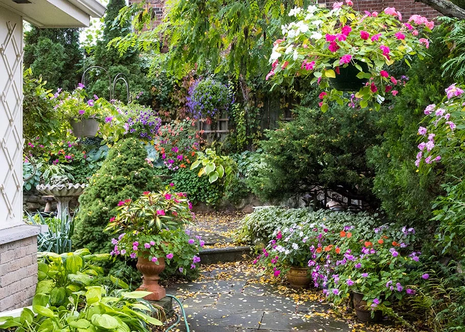 Martha Boers’ Doll Photography Captures an Autumn Garden Before Frost