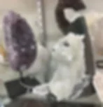 Geode and quartz collectibles