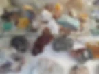 Collectible raw edge crystals