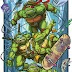 Hernan Carracedo’s TMNT “Cowabunga!” Print Gets Three Limited Editions